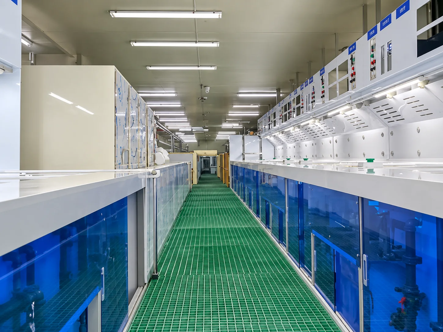 Hole Filling Electroplating